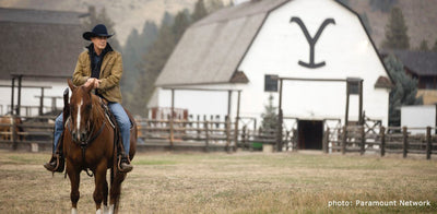 Is the TV Series Yellowstone Real Montana Ranch Life?