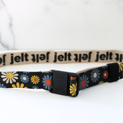 Daisy JeltX Adjustable Elastic Belt - Jelt Belt